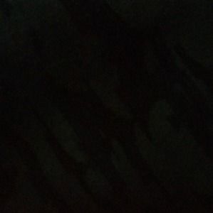 Meet your Posher, Dylan